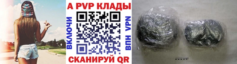 Альфа ПВП СК КРИС Гдов