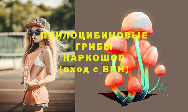 амфетамин Лабытнанги