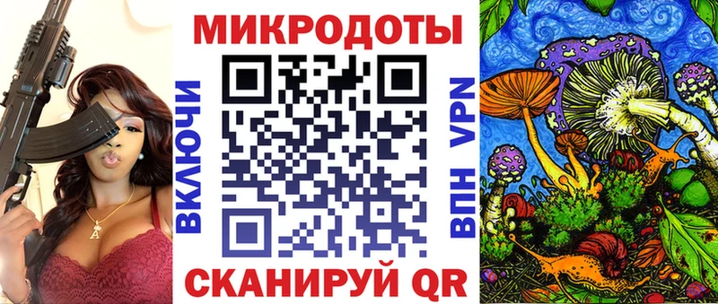 закладки  Гдов  Галлюциногенные грибы Psilocybine cubensis 